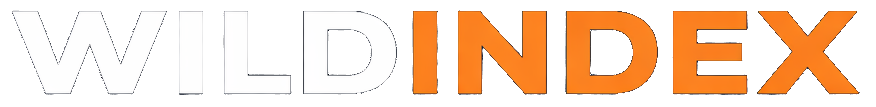 WildIndex wordmark